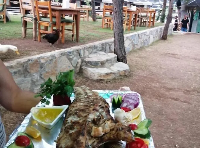 Durusu Ciftlikevleri